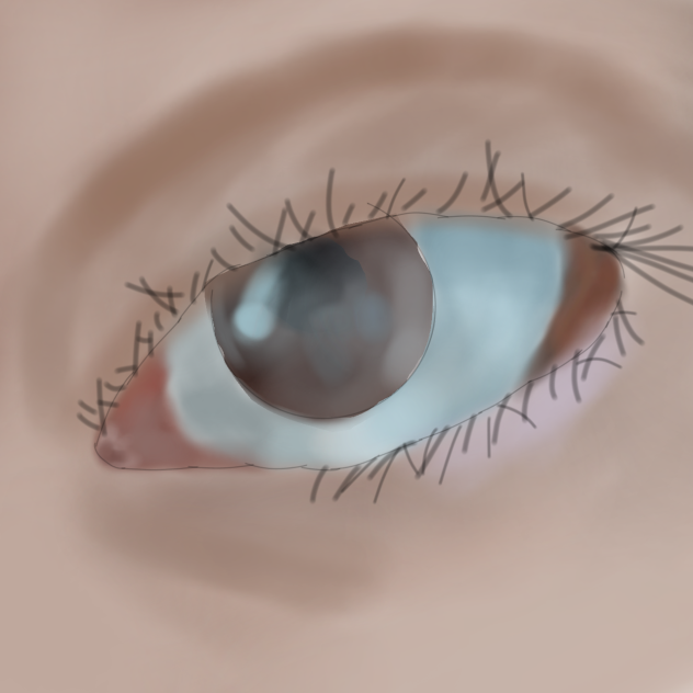The eyes