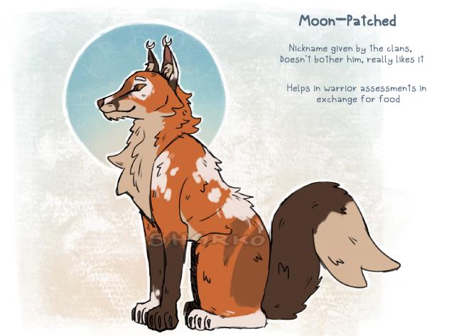 Fox redraw thing 🙏