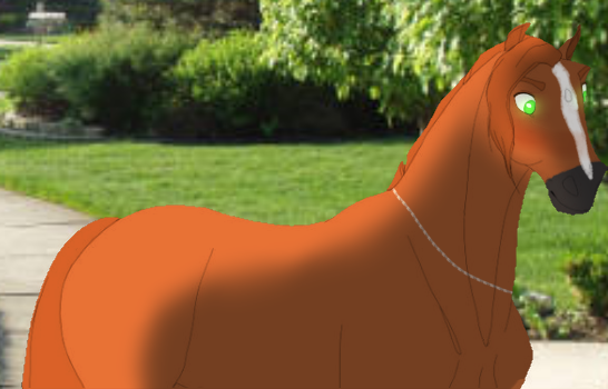 `` N-No I dont think of her like that ``