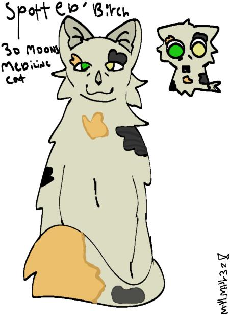 Warrior cats oc 🗣