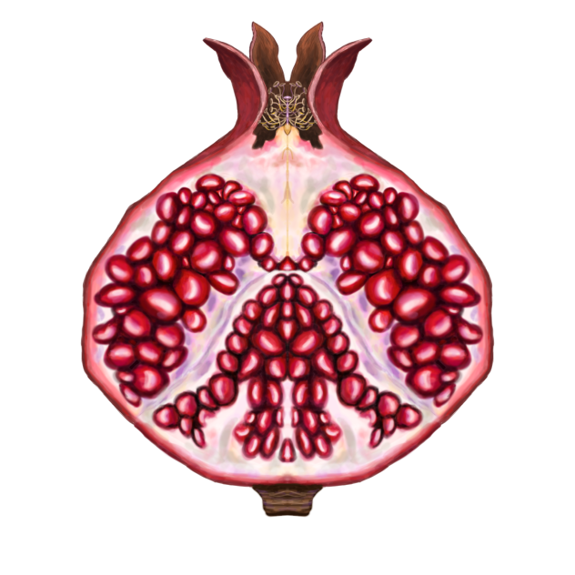 Pomegranate
