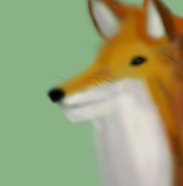 Fox - ibisPaint