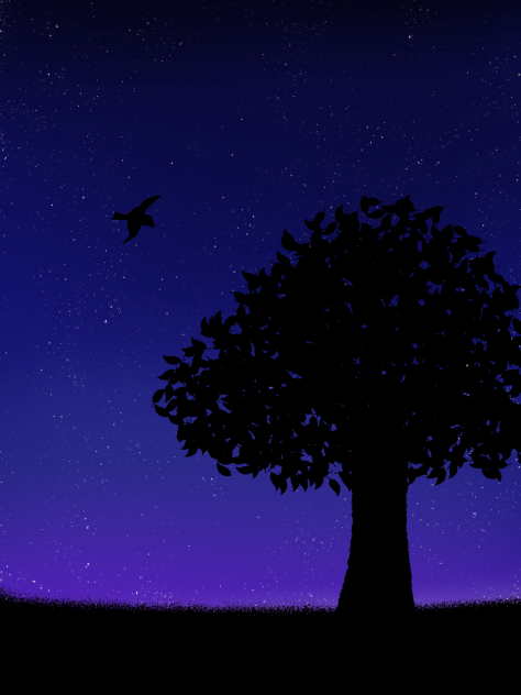 夜空