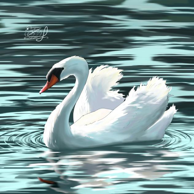 Swan