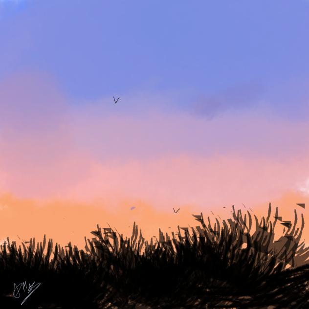 sunset attempt 1