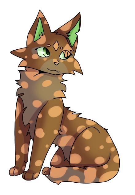 Warrior cat OC #3