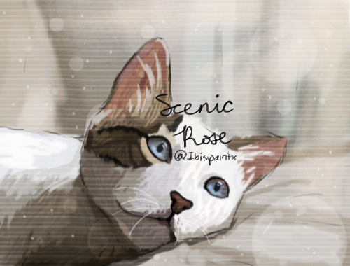 Untitled592 ScenicRose Ibispaint