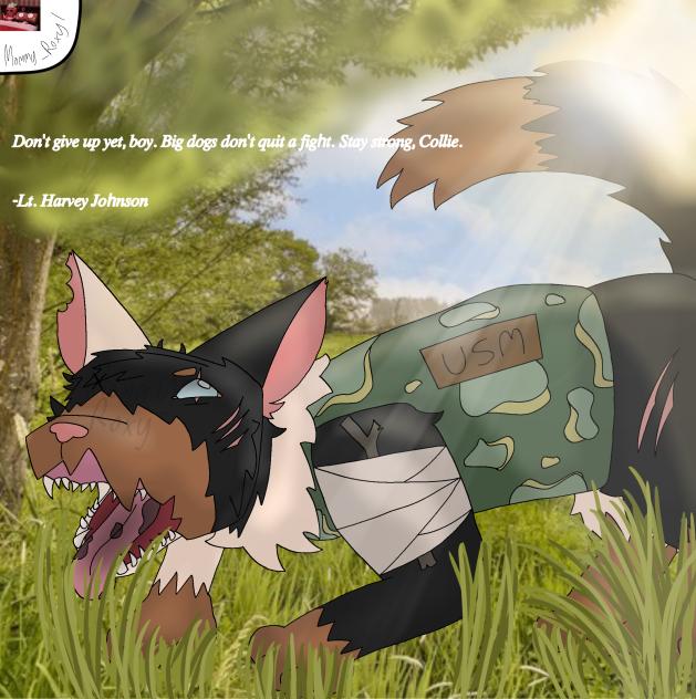 𝑆𝑡𝑎𝑦 𝑆𝑡𝑟𝑜𝑛𝑔, 𝐶𝑜𝑙𝑙𝑖𝑒.