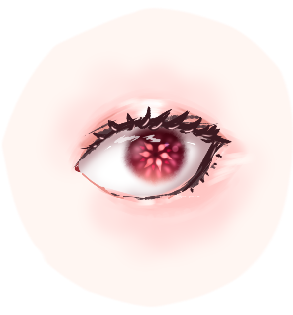 Eye
