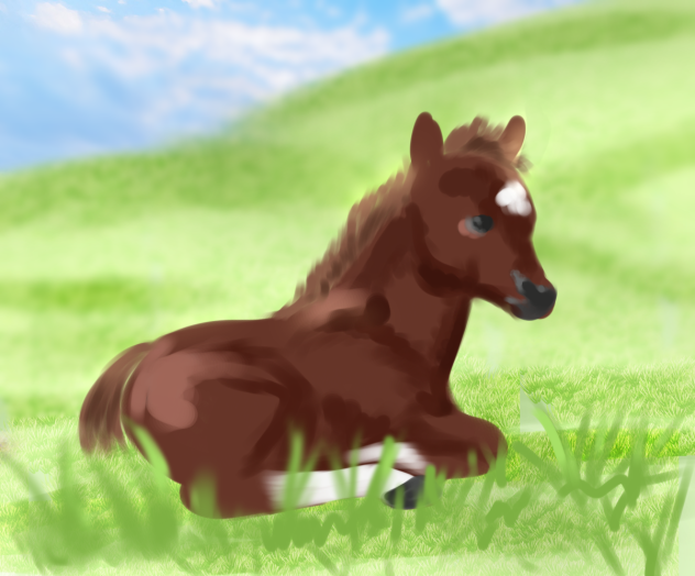 Cute Foal Art