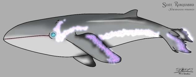 Slate Rorquabird (2023) glow