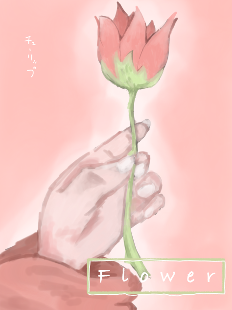 チューリップ