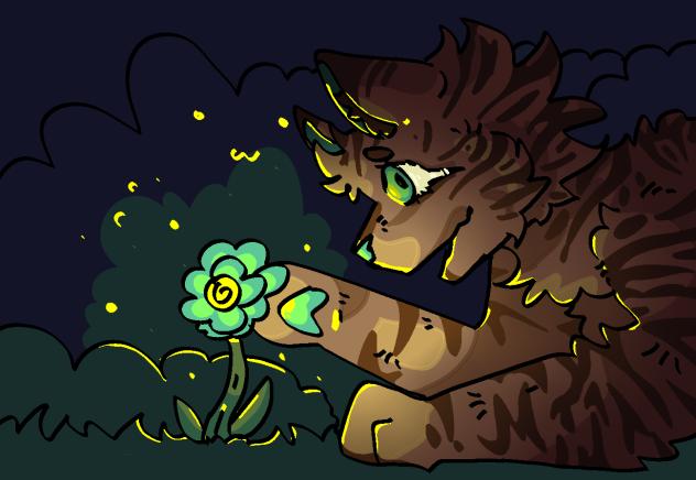 erm what do i call this hhhshshdjhsajdhj