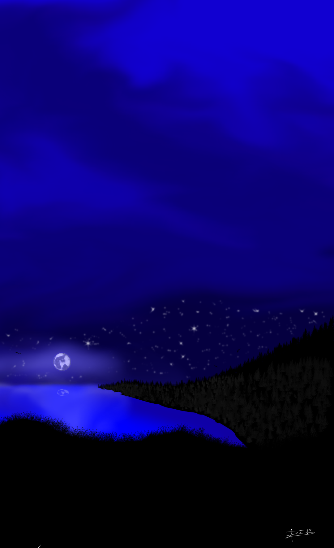Night - ibisPaint
