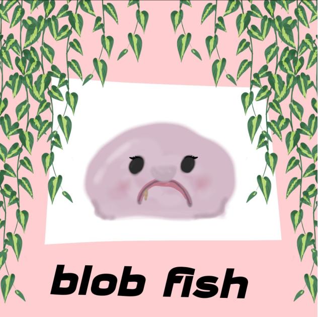 For the Blob fish contest 😭
