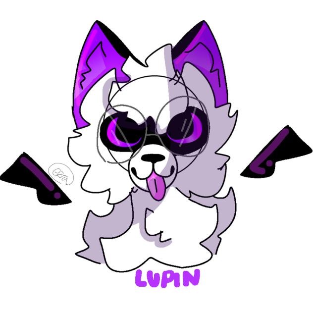 Lupin