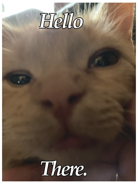 🐈 - ibisPaint