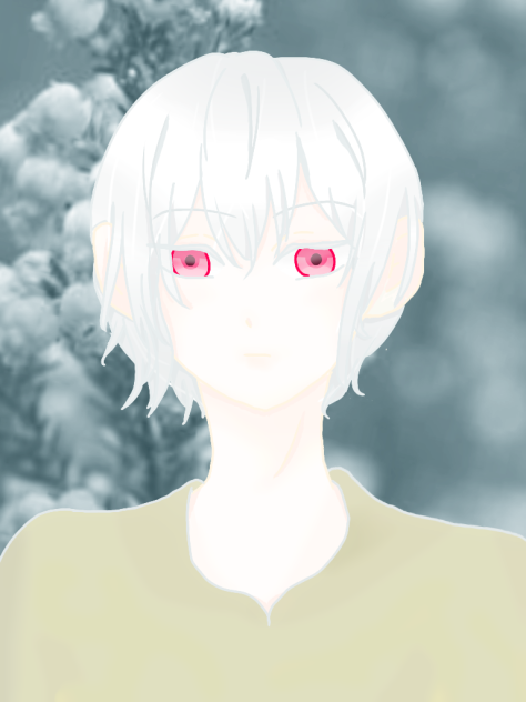 アルビノ 男子