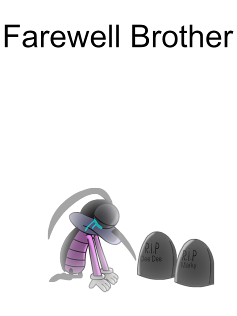Farewell Brother Cover
