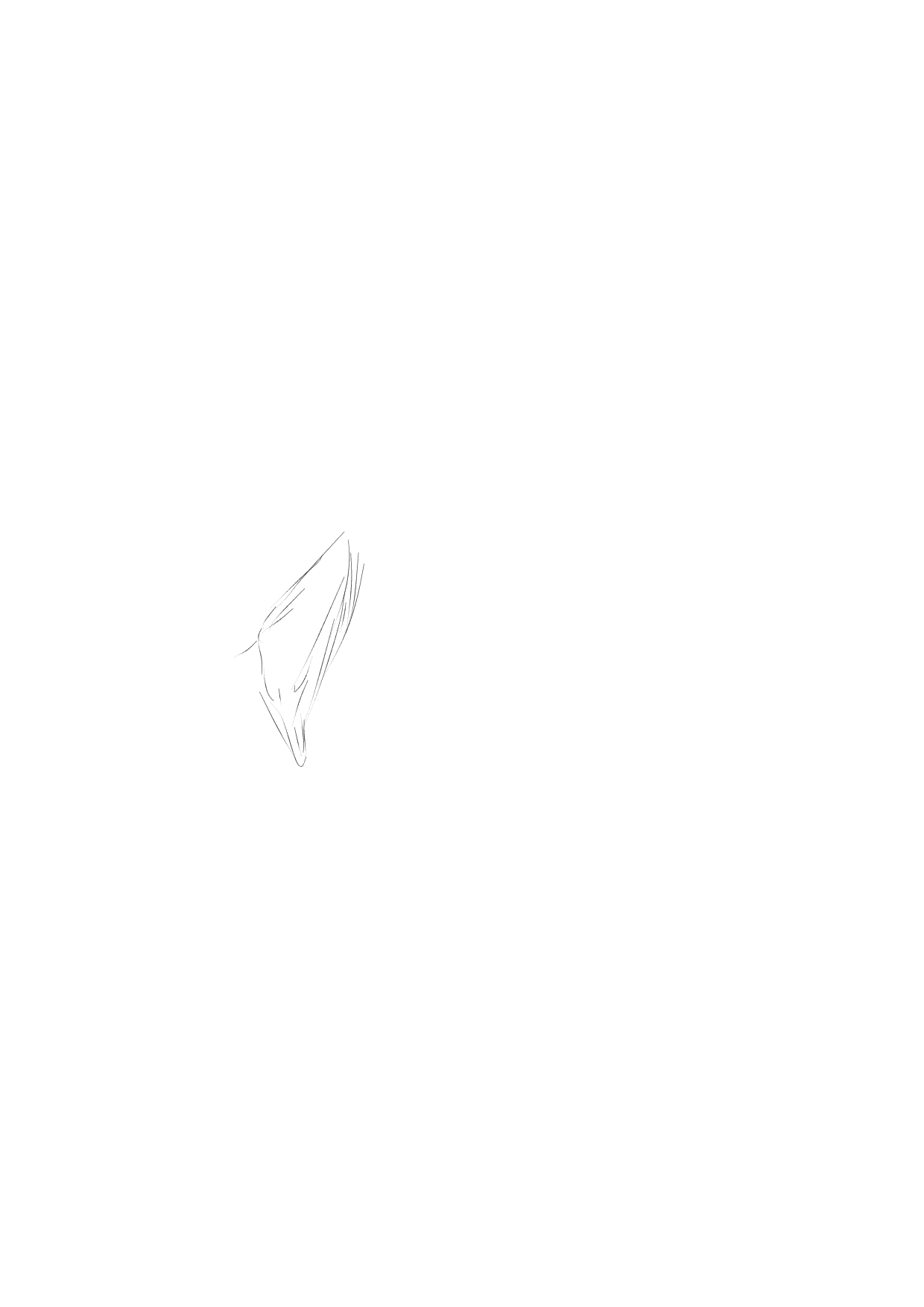 progress on my first SpeedPaint - ibisPaint