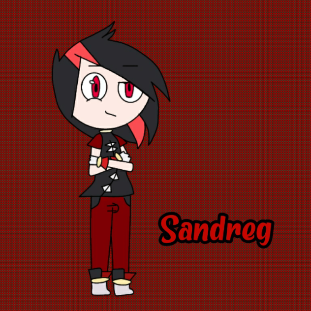 Sandreg 1er diseño