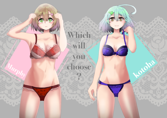 どちらが好み？