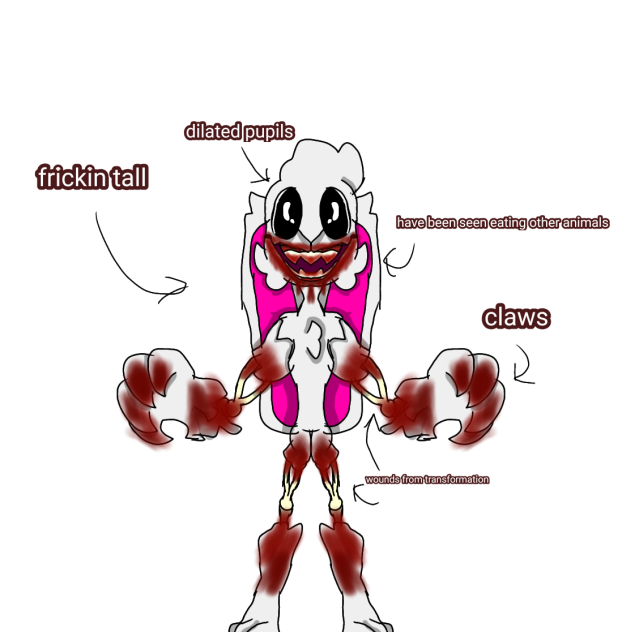 infected rabbit full body