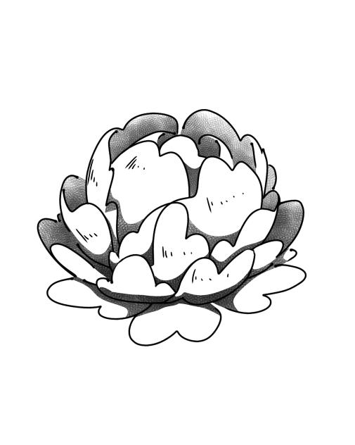 Peony