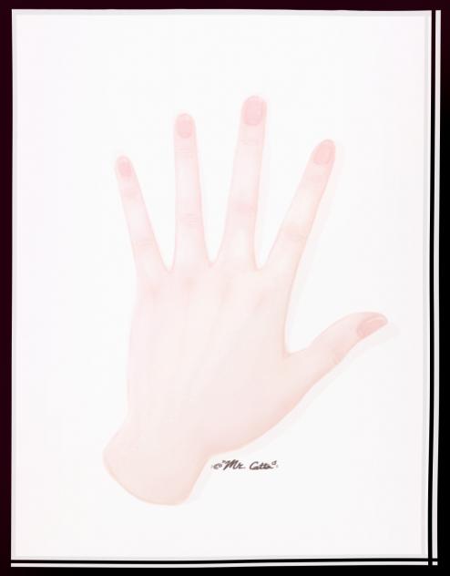 《Catto's Hand》