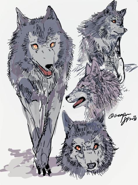 🐺