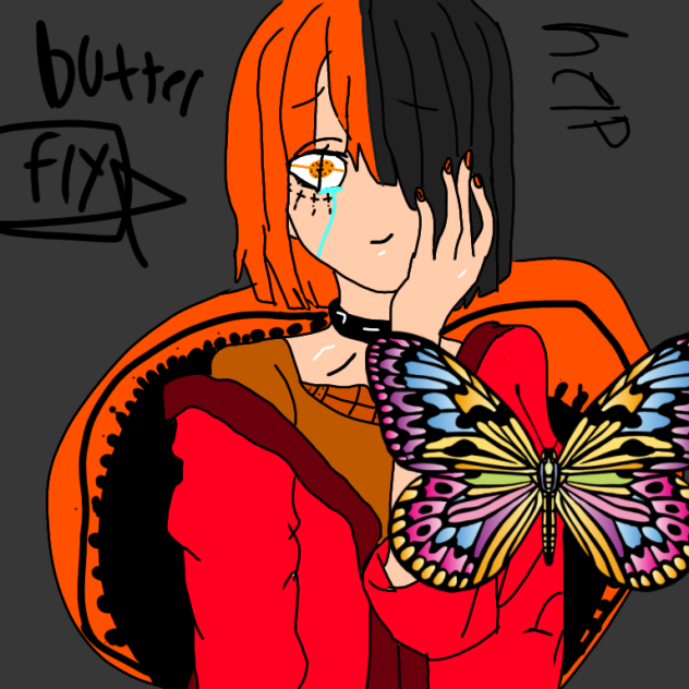 butterfly 🦋🦋🦋🦋