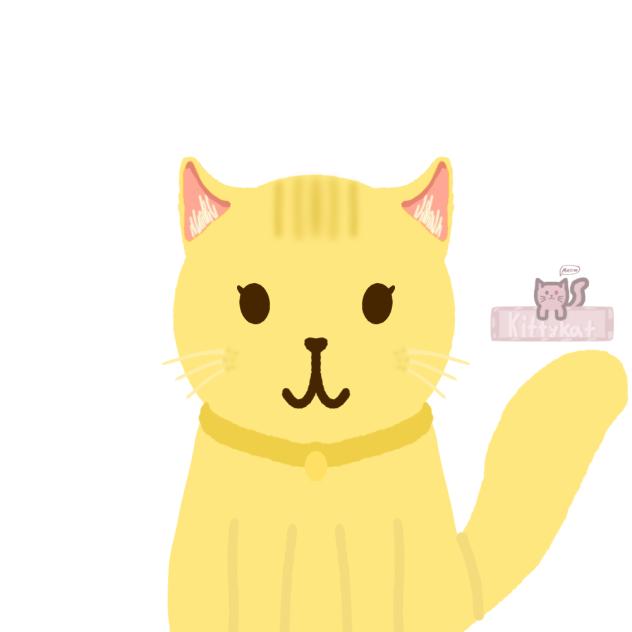 A FAT CATщ⁠(⁠゜⁠ロ⁠゜⁠щ⁠)