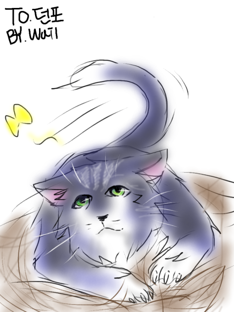 dawn paw