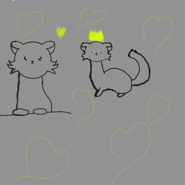 unos hurones ferrets