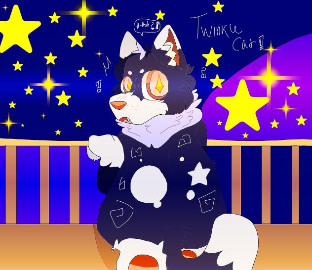 🐱Twinkle cat in the stars!!!!⭐️✨