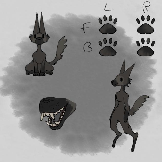 Maned wolf
