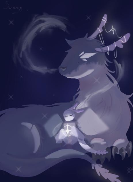 ✨