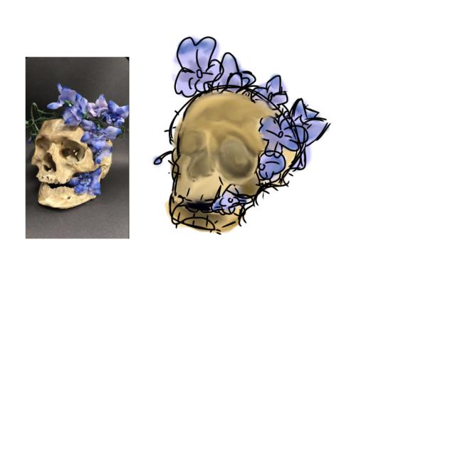 skull