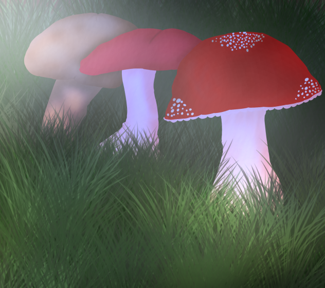 Just 3 Mushrooms