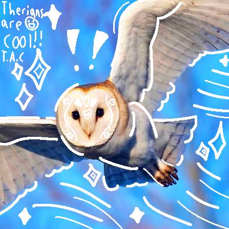 A pic for barn own therians.