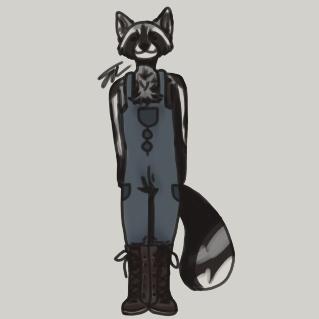 raccoon boi