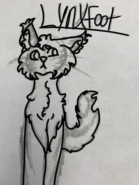 Lynxfoot!