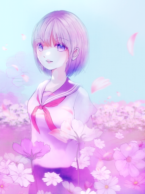 秋桜