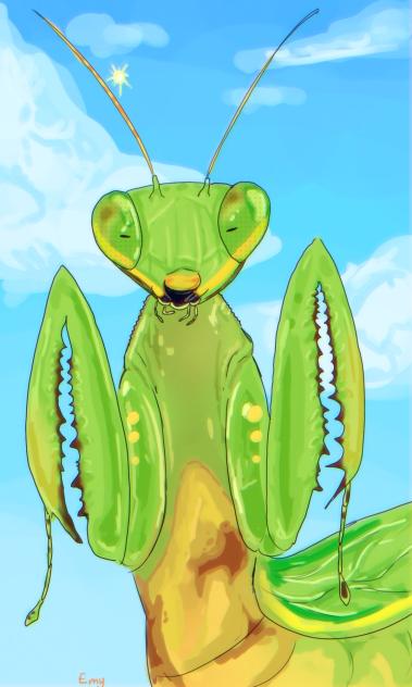 gigant mantis🥦