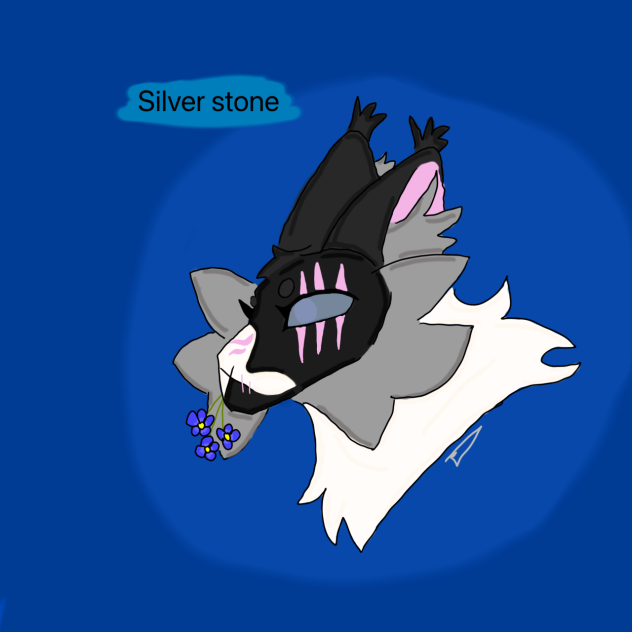 # Warrior cats#not my OC#free commission