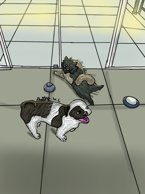 LUX E PUDIM 🐕🐕🐕