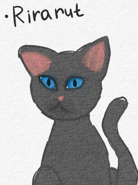 кот. не бейте тапком.