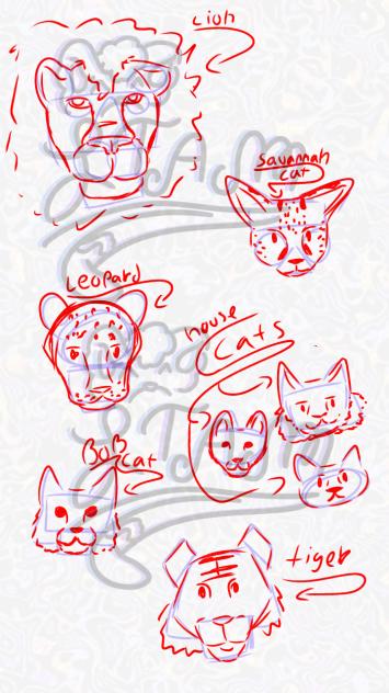 Cat(face)2