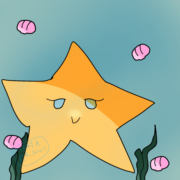 Cute little starfish ⭐️