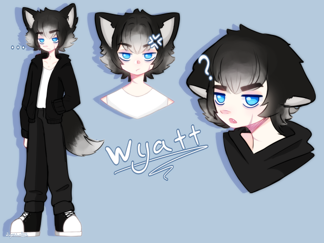Boreder collie oc 🙃